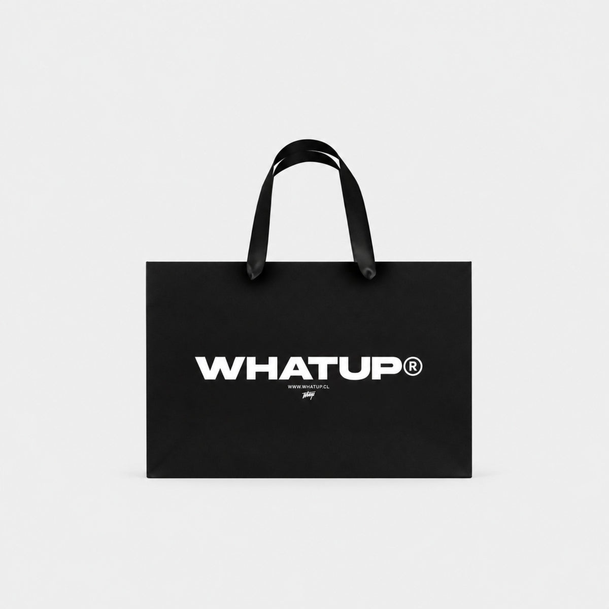 BOLSA DE PAPEL WHATUP 30X41X17
