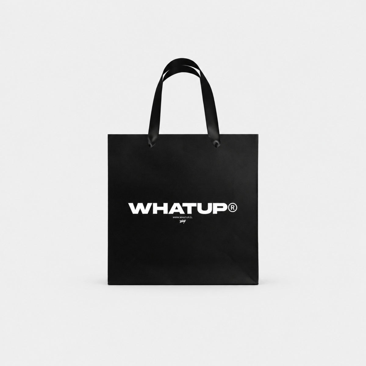 BOLSA DE PAPEL WHATUP 33x33x11
