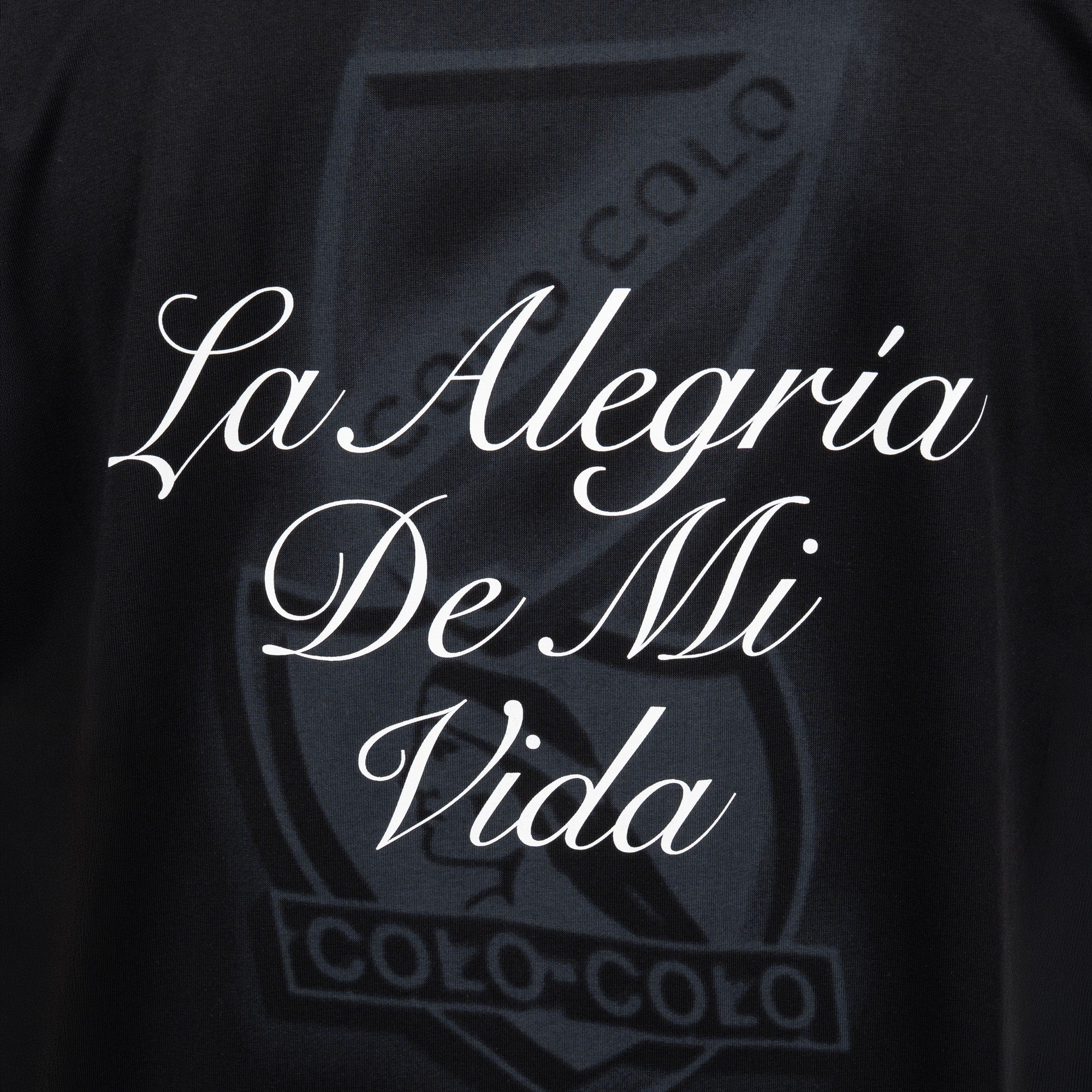 Polerón Colo-Colo Urbano Hoodie La Alegria De Mi Vida Negro