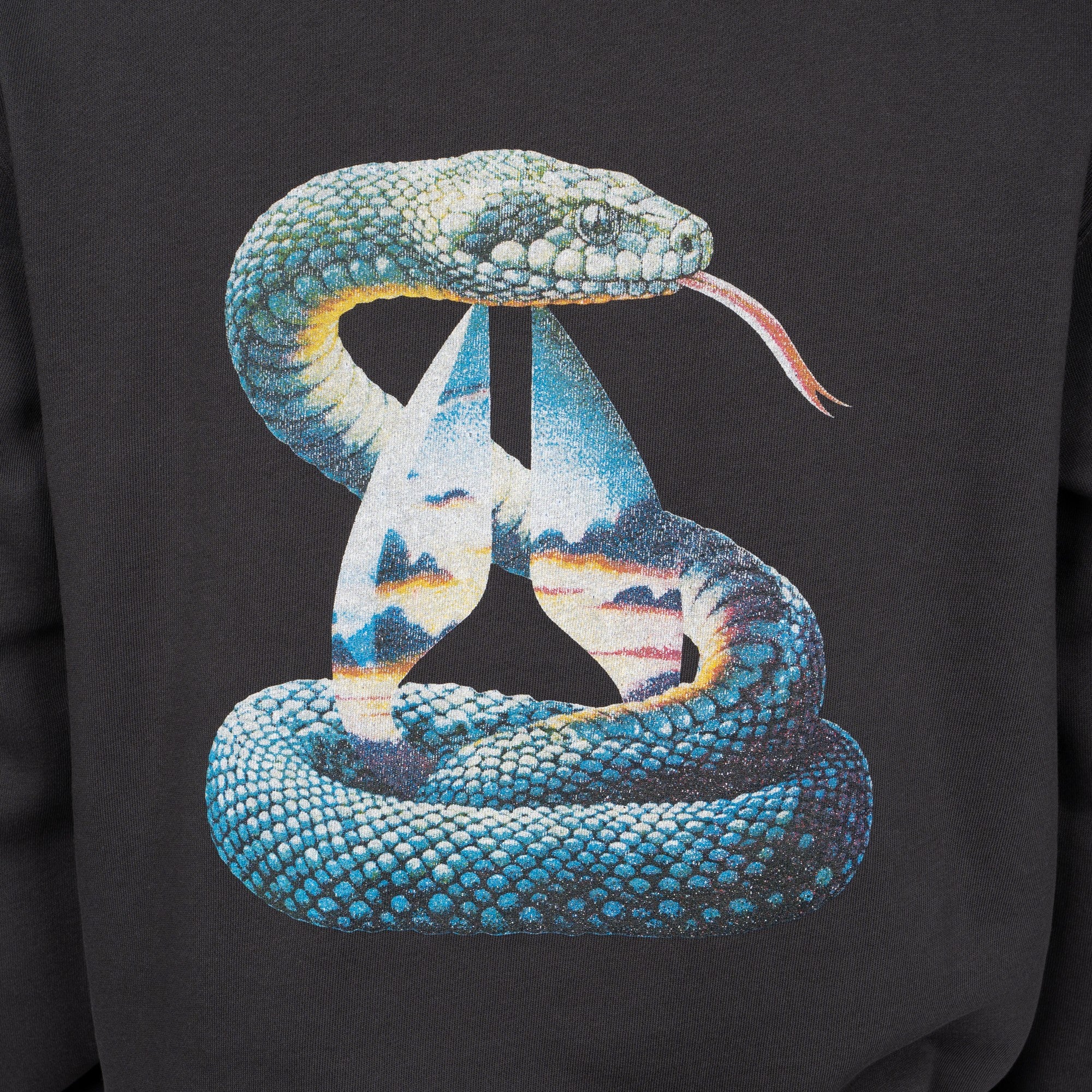 Polerón Hoodie Nixon Men Blue Snake Black