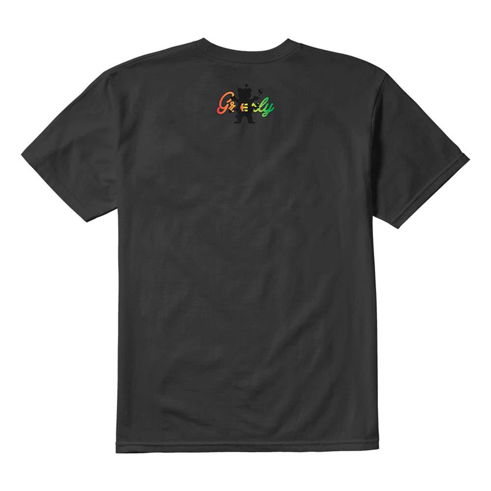 Polera Grizzly Ecorp Tee black