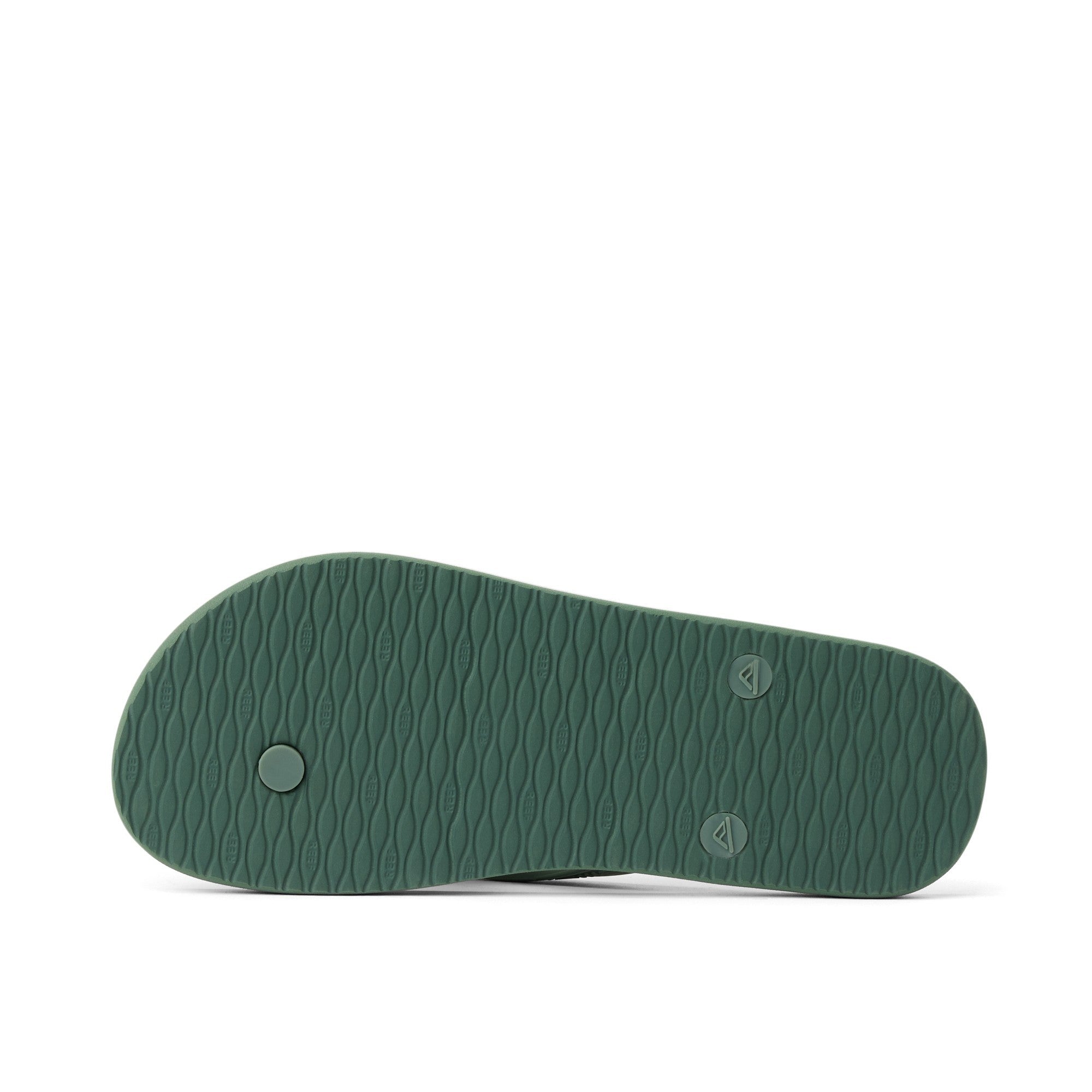 Sandalia Reef Men Seaside Print Sage Text