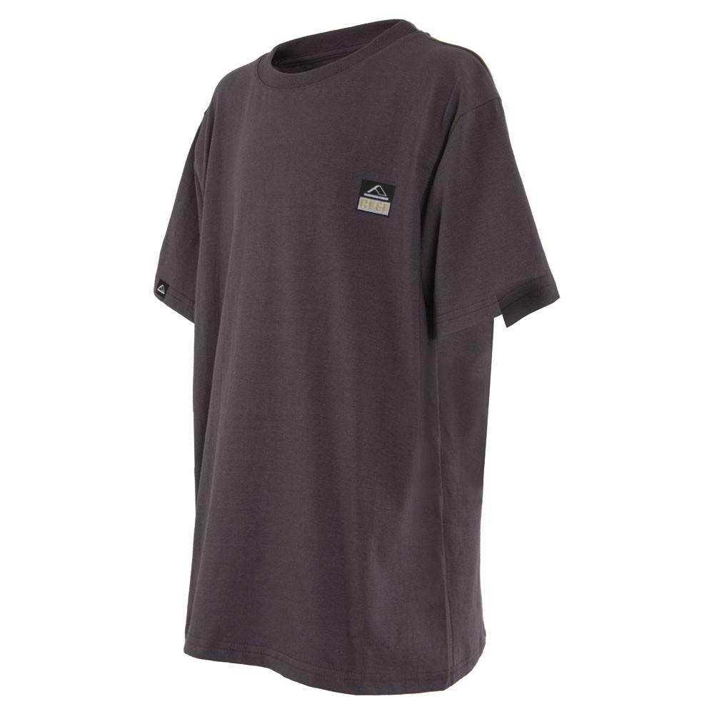 Polera Kids Grey Logo Black Back