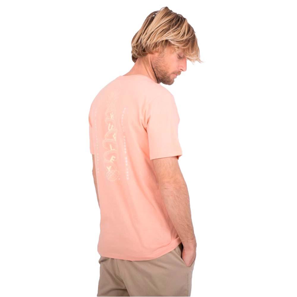 Polera Everyday Washed Tropical Slices Pink Quest